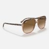 RAYBAN BILL - Image 3